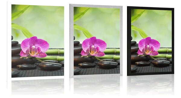 Poster Feng Shui natură moartă