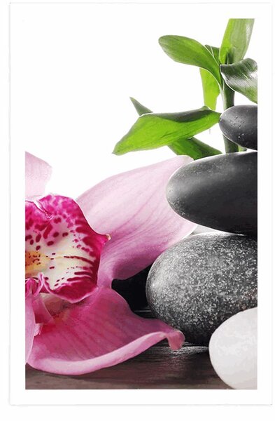Poster natura moartă Zen armonică