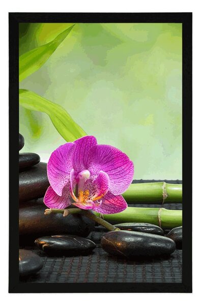 Poster Feng Shui natură moartă