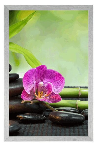 Poster Feng Shui natură moartă