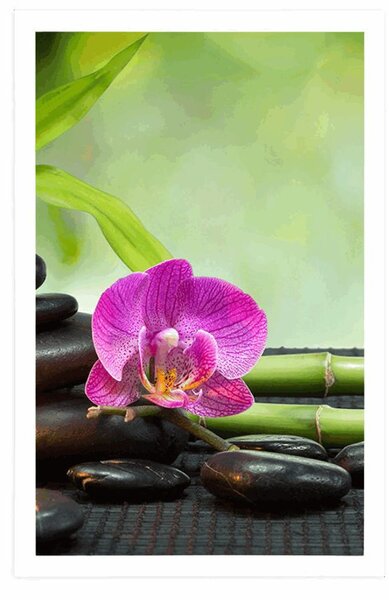 Poster Feng Shui natură moartă