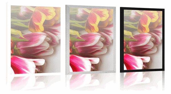 Poster buchet de lalele colorate