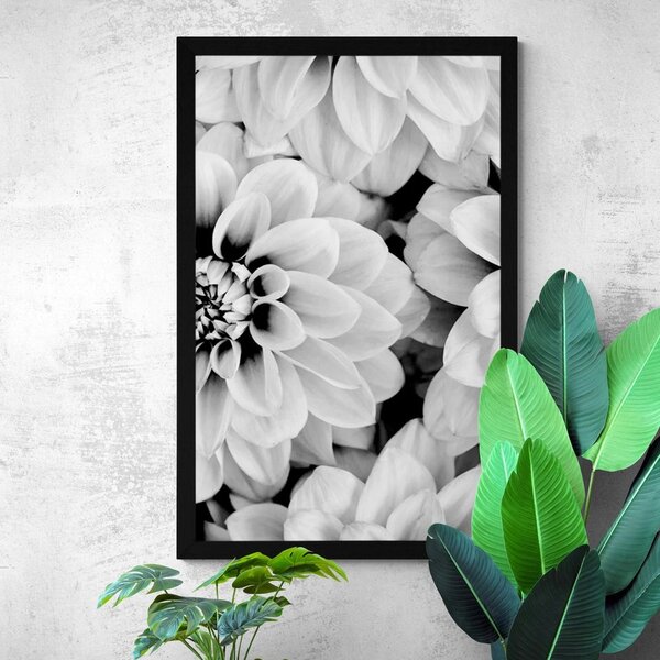 Poster flori de dalia în design alb-negru
