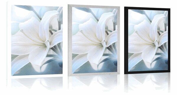 Poster flori de crin alb pe fundal abstract
