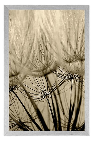 Poster semințe de păpădie în design sepia