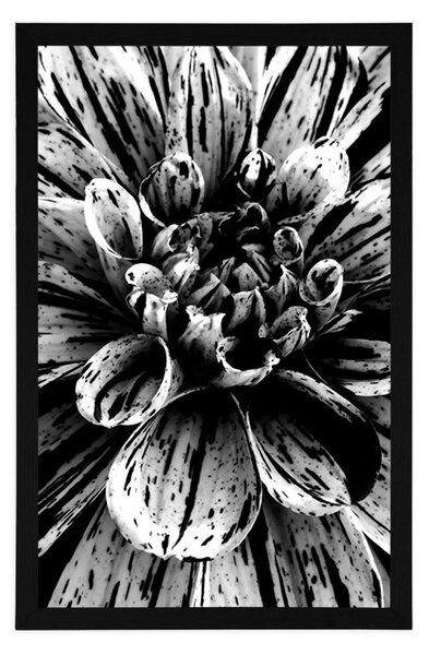 Poster dalie exotică în design alb-negru