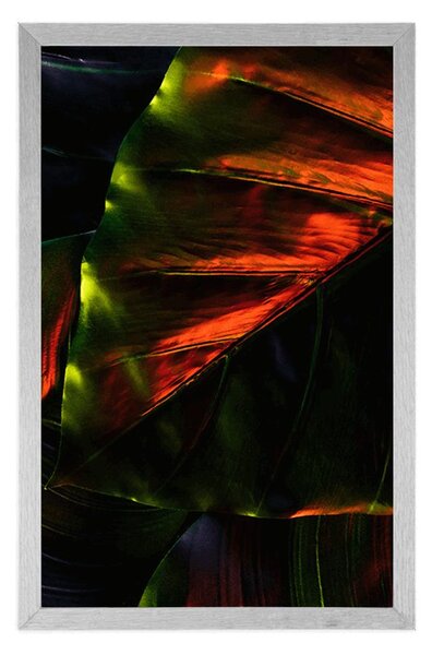 Poster frunze de palmier tropicale