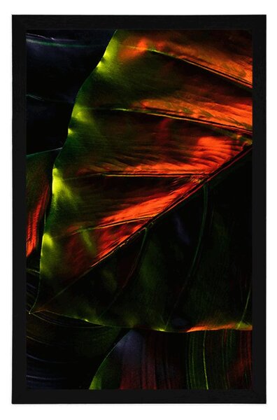 Poster frunze de palmier tropicale