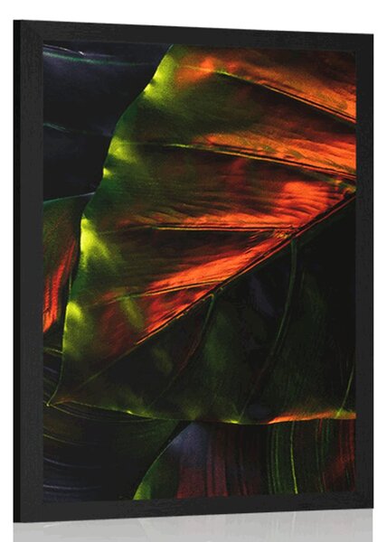 Poster frunze de palmier tropicale