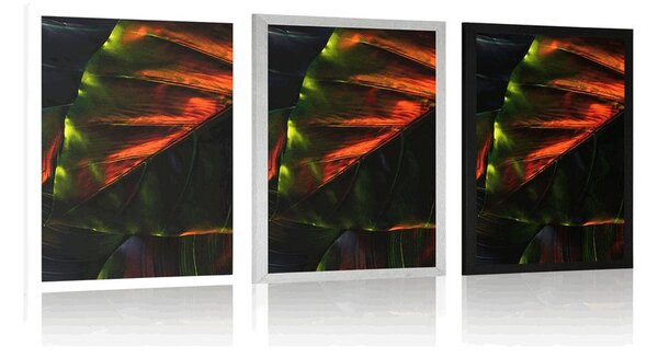Poster frunze de palmier tropicale
