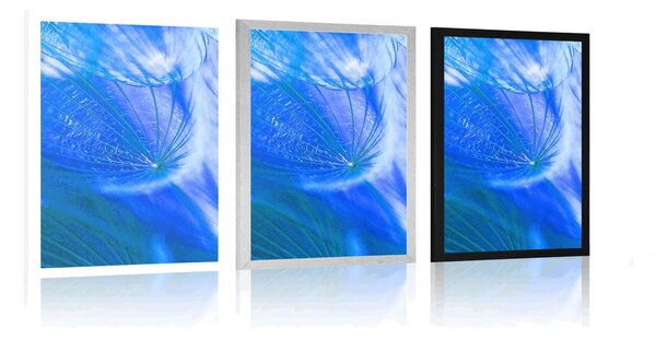 Poster păpădie frumoasă în design albastru