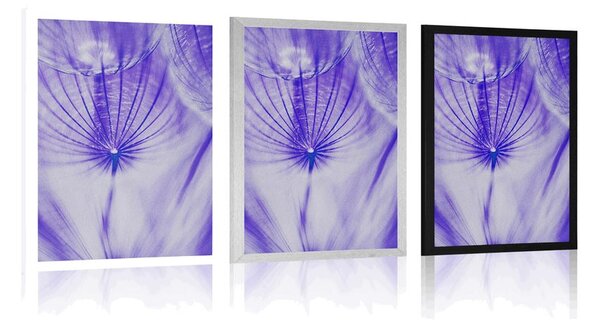 Poster păpădie în design violet