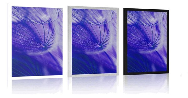 Poster păpădie frumoasă în design violet