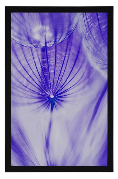 Poster păpădie în design violet