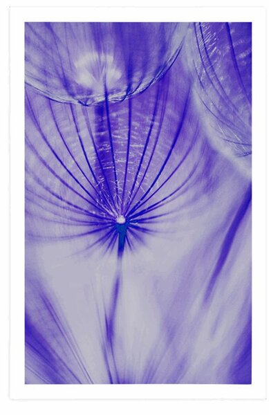 Poster păpădie în design violet