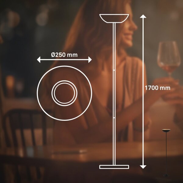 Briloner 1500015 - Lampadar LED ESTATE, reglabil, 8W/5V, 4000 mAh, negru
