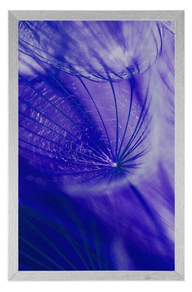 Poster păpădie frumoasă în design violet