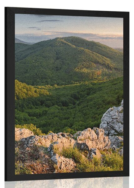 Poster natură scăldată de soare