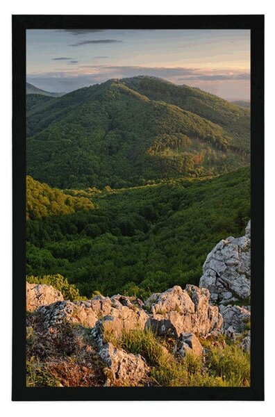 Poster natură scăldată de soare