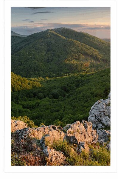 Poster natură scăldată de soare