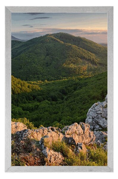 Poster natură scăldată de soare
