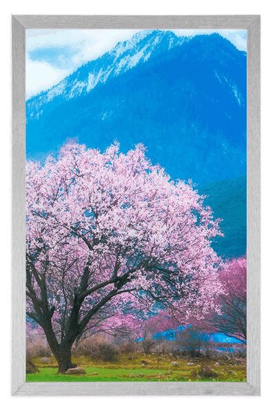 Poster copac magic japonez