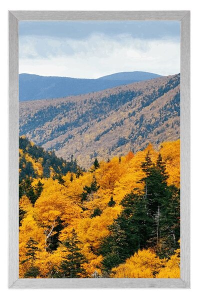 Poster vedere la munți maiestuoși