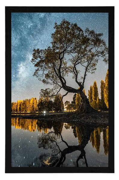 Poster copac sub cerul înstelat