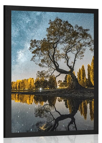 Poster copac sub cerul înstelat