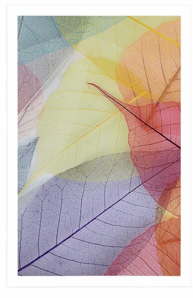 Poster vene pe frunze colorate