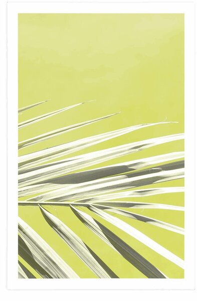 Poster frunză de palmier