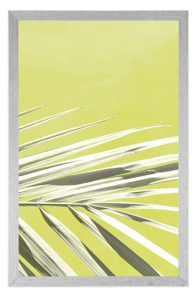 Poster frunză de palmier