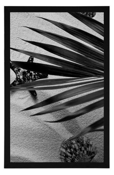 Poster scoici sub frunze de palmier în design alb-negru
