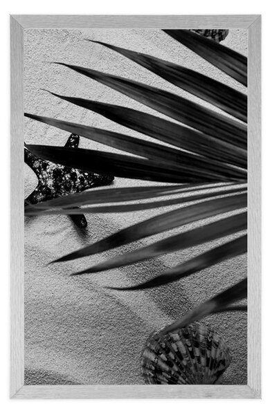 Poster scoici sub frunze de palmier în design alb-negru