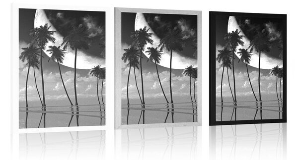 Poster apus de soare deasupra palmierilor tropicali în design alb-negru