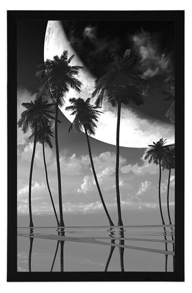 Poster apus de soare deasupra palmierilor tropicali în design alb-negru