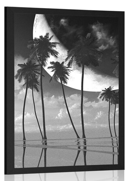 Poster apus de soare deasupra palmierilor tropicali în design alb-negru