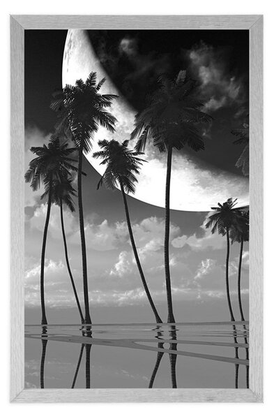 Poster apus de soare deasupra palmierilor tropicali în design alb-negru