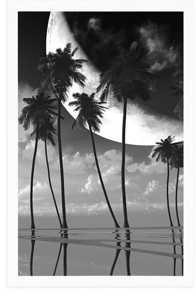 Poster apus de soare deasupra palmierilor tropicali în design alb-negru