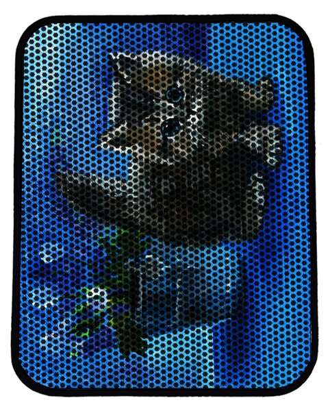 Covoras litiera Nrszn0132 Multicolor 45x60 cm