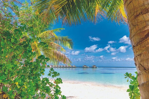 Fototapet relaxare într-o stațiune tropicală