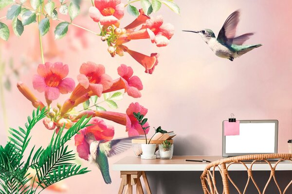 Tapet zborul colibrilor