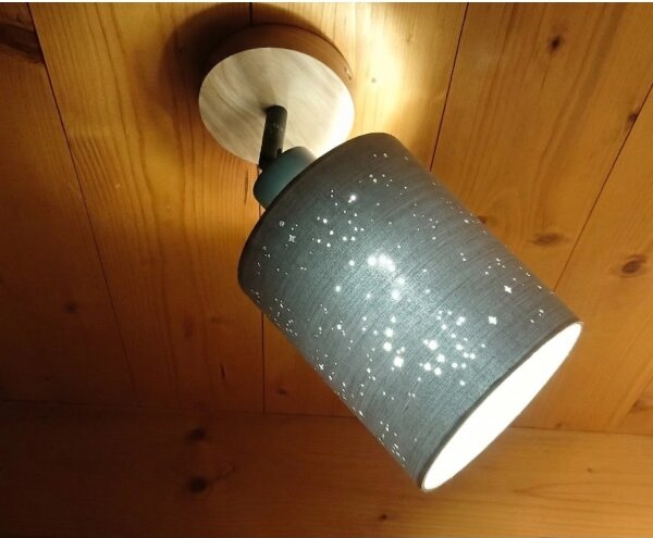 Spot de perete Briloner 2078-011 SPOTLIGHT 1xE27/25W/230V bej