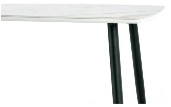 Masa MARCO, alb/negru, 120x70x77 cm