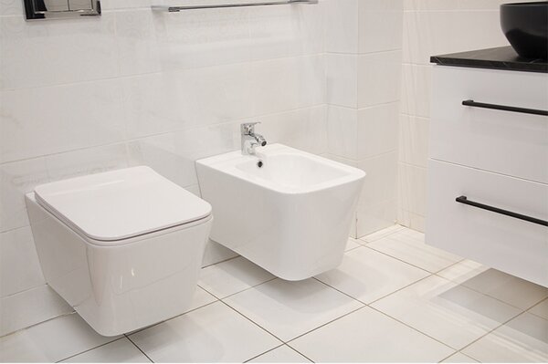 Set vas WC suspendat, Fluminia, Paris, rimless, cu capac quick release si soft close, alb