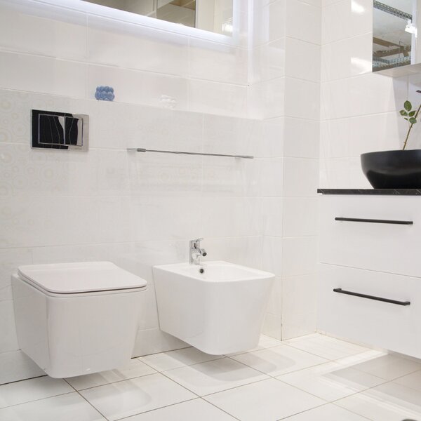 Set vas WC suspendat, Fluminia, Paris, rimless, cu capac quick release si soft close, alb