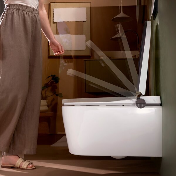 Hansgrohe LavaPura Element S vas de spălat agăţat fără margine cu spălare turbionară alb 63021450