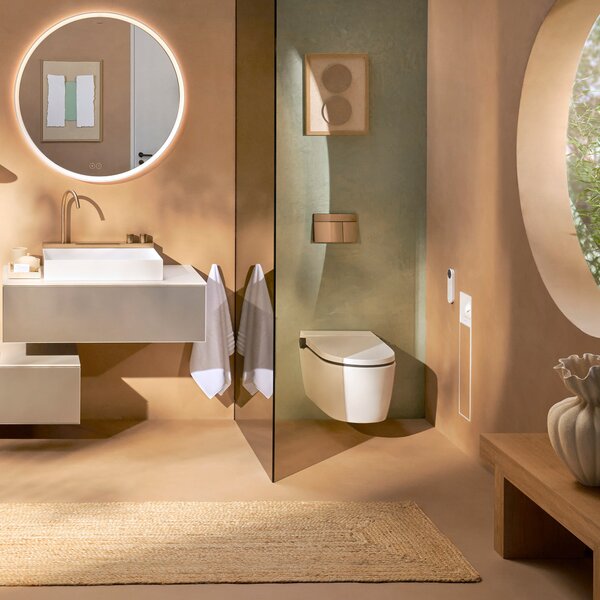 Hansgrohe LavaPura Element S vas de spălat agăţat fără margine cu spălare turbionară alb 63021450