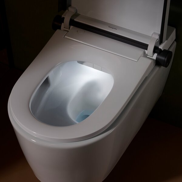 Hansgrohe LavaPura Element S vas de spălat agăţat fără margine cu spălare turbionară alb 63021450