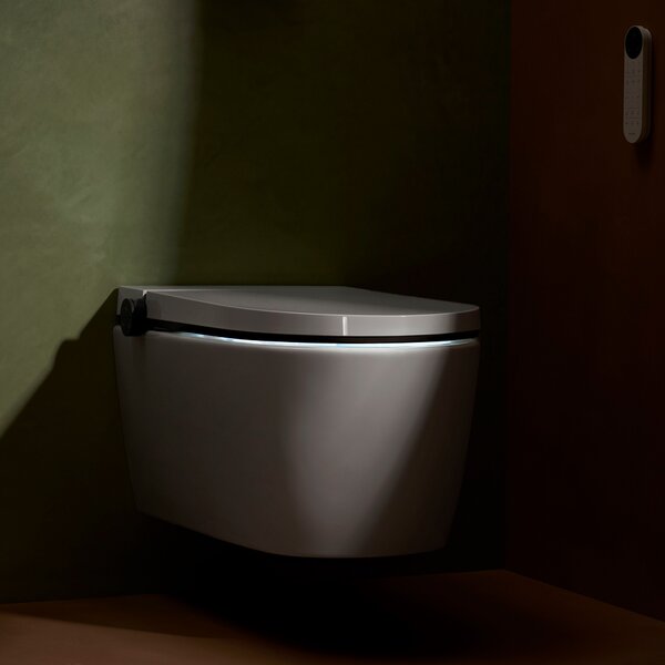 Hansgrohe LavaPura Element S vas de spălat agăţat fără margine cu spălare turbionară alb 63021450